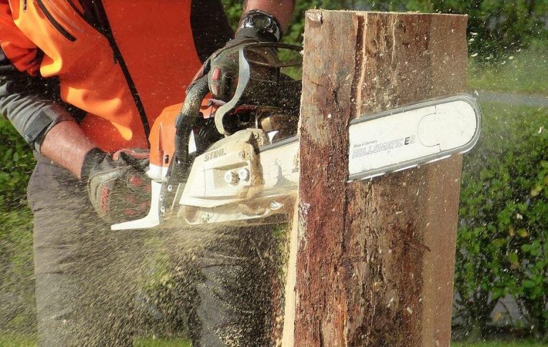 saw machine used in tree